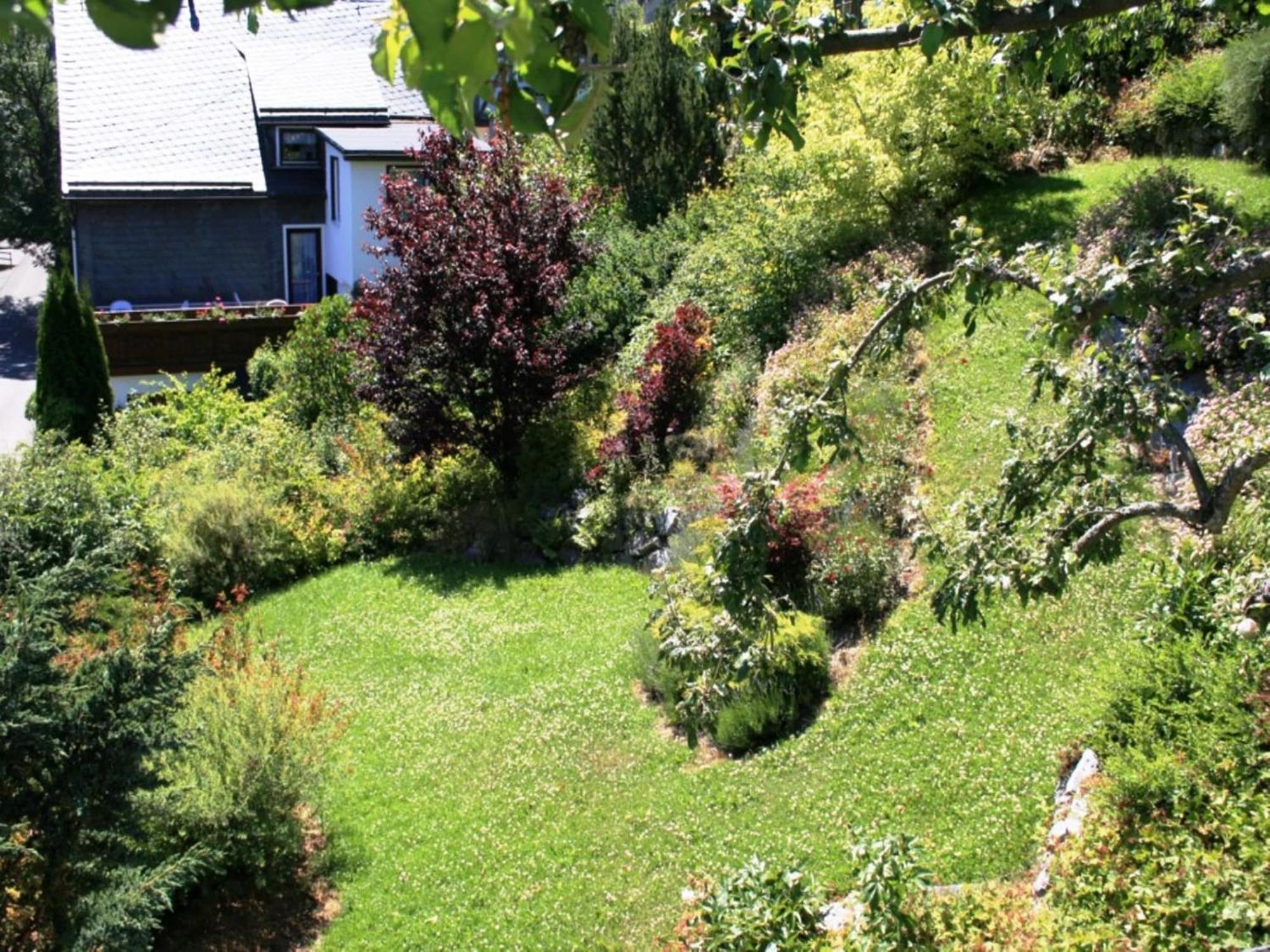 Cosy Apartment In Schwalefeld Near Willingen With Private Terrace Bagian luar foto