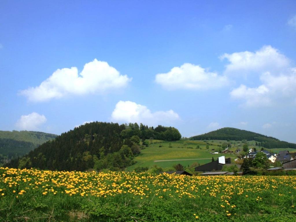 Cosy Apartment In Schwalefeld Near Willingen With Private Terrace Bagian luar foto