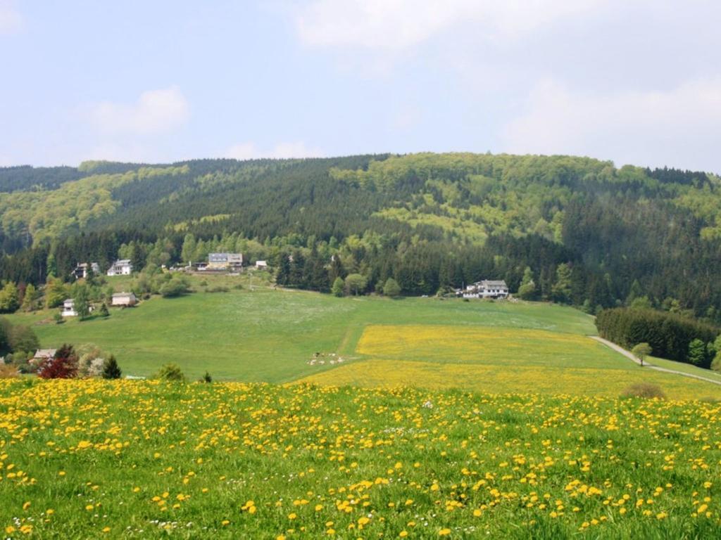 Cosy Apartment In Schwalefeld Near Willingen With Private Terrace Bagian luar foto